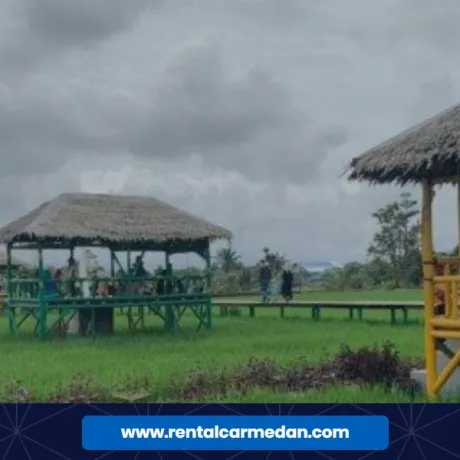 wisata sawah pematang johar 67e22069fb1c97c0e8c36879 ad5bf4d7 wisata sawah pematang johar